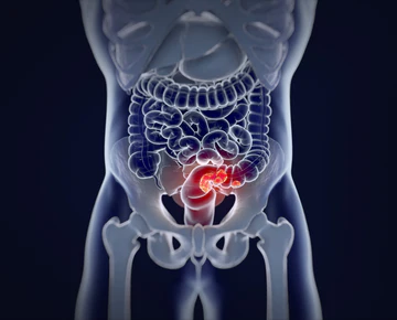 WPK Gastroenterologie